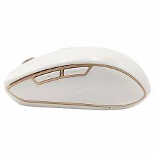 Souris Sans Fil 2,4 GHz *PRODUIT NEUF* Havit ( HV-MS951GT )