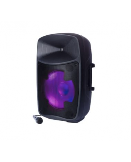 Haut-Parleur Haute Puissance Bluetooth Résistant aux Intempéries avec Microphone ( Ion Pro Glow Ultra )