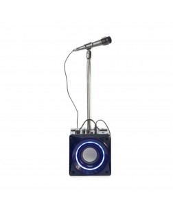 Haut Parleur Karaoke Bluetooth avec Microphone Proscan ( PKAR305 )