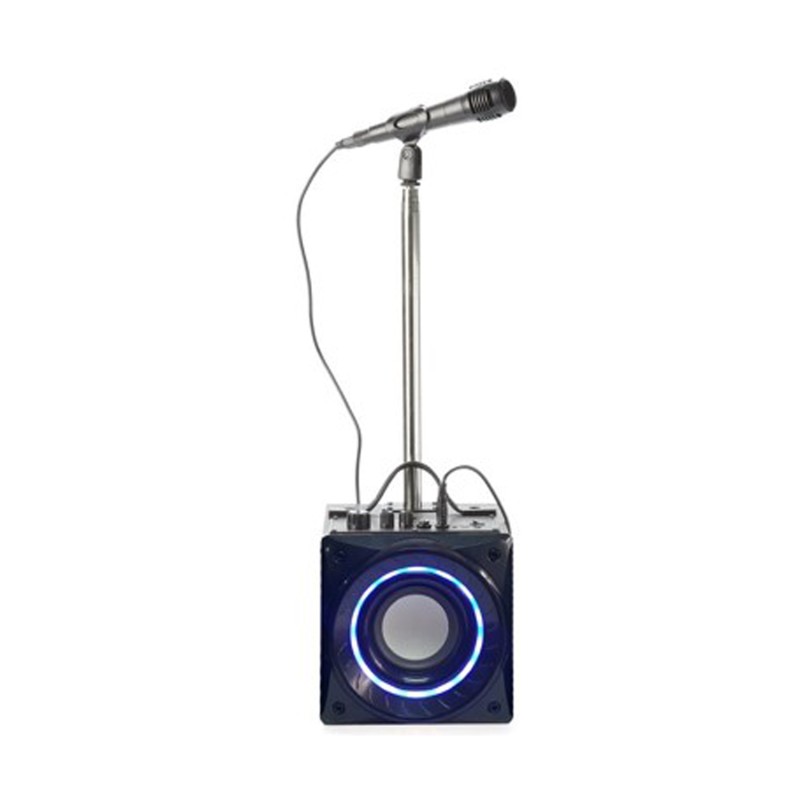 Haut Parleur Karaoke Bluetooth avec Microphone Proscan ( PKAR305 )