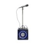Haut Parleur Karaoke Bluetooth avec Microphone Proscan ( PKAR305 )
