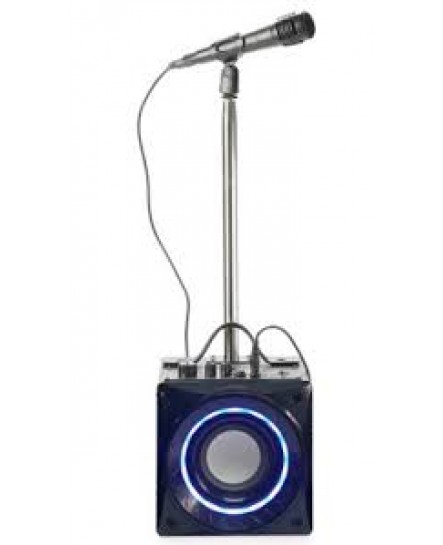 Haut Parleur Karaoke Bluetooth avec Microphone Proscan ( PKAR305 )