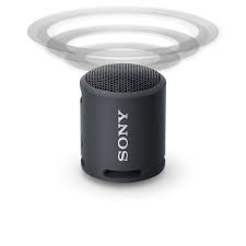 Haut-Parleur sans Fil Bluetooth &Eacute;tanche Noir de Sony ( SRS-XB13/B )